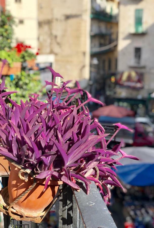 Il Sole Di Montesanto Bed & Breakfast Naples Luaran gambar
